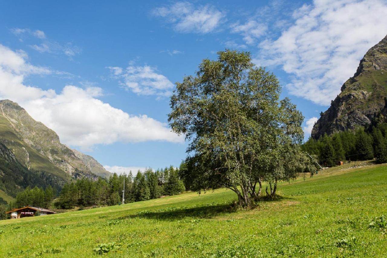 Pension Mittagskogel 皮茨河谷圣莱昂哈德 外观 照片